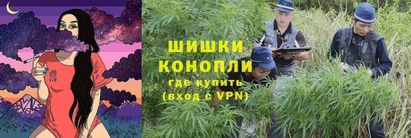 прущие крисы Алзамай